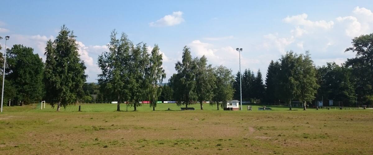 A grassy field with trees and a clear sky.