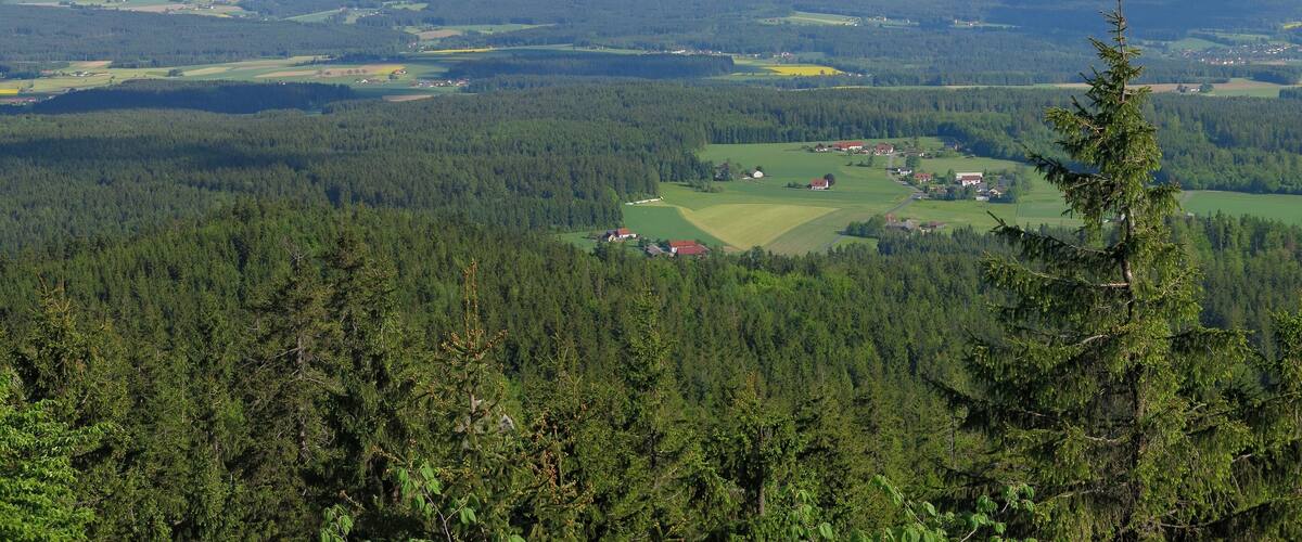 View from the Kösseine southeastward to the Steinwald