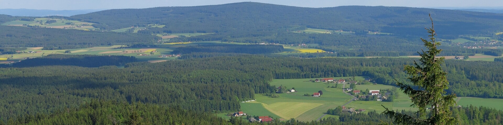 View from the Kösseine southeastward to the Steinwald