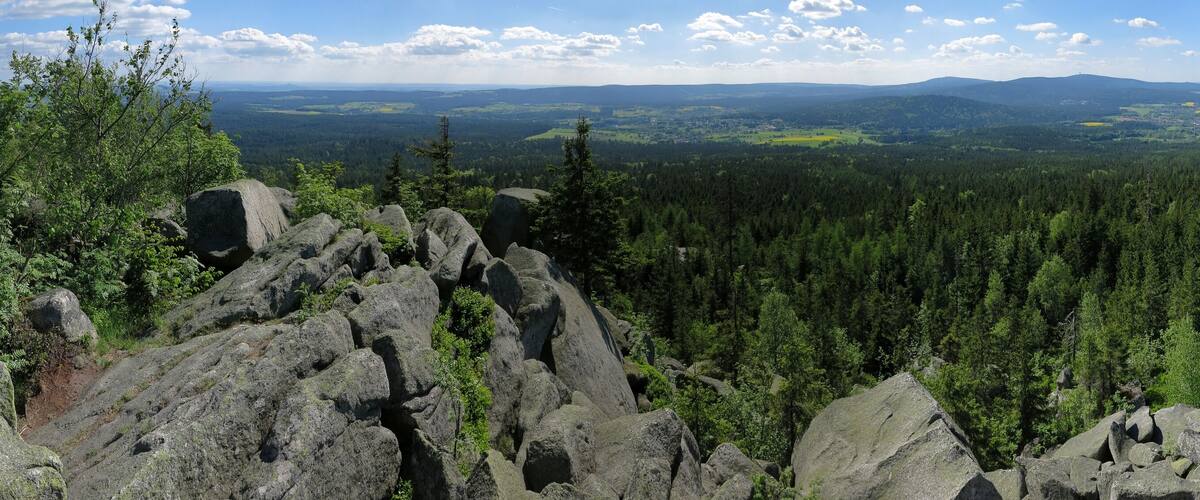 A mountainous landscape with dense forests and rocky outcrops.