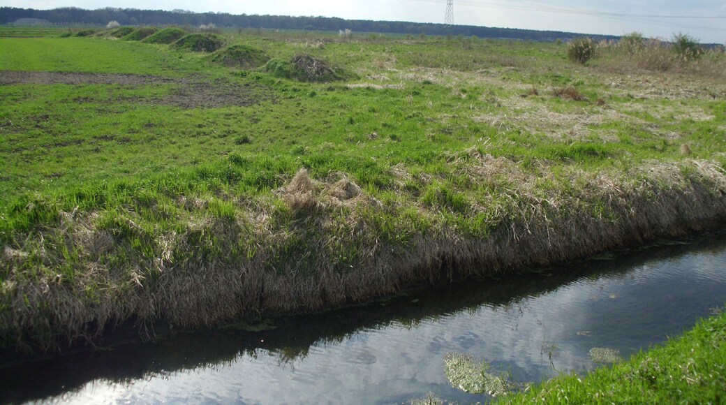 am „Groddisch“ bei Wiesenau, Amt Brieskow-Finkenheerd, Brandenburg, Deutschland