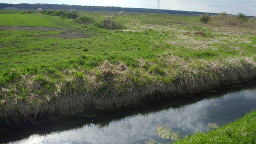 Un río con orillas cubiertas de hierba y una línea eléctrica al fondo.