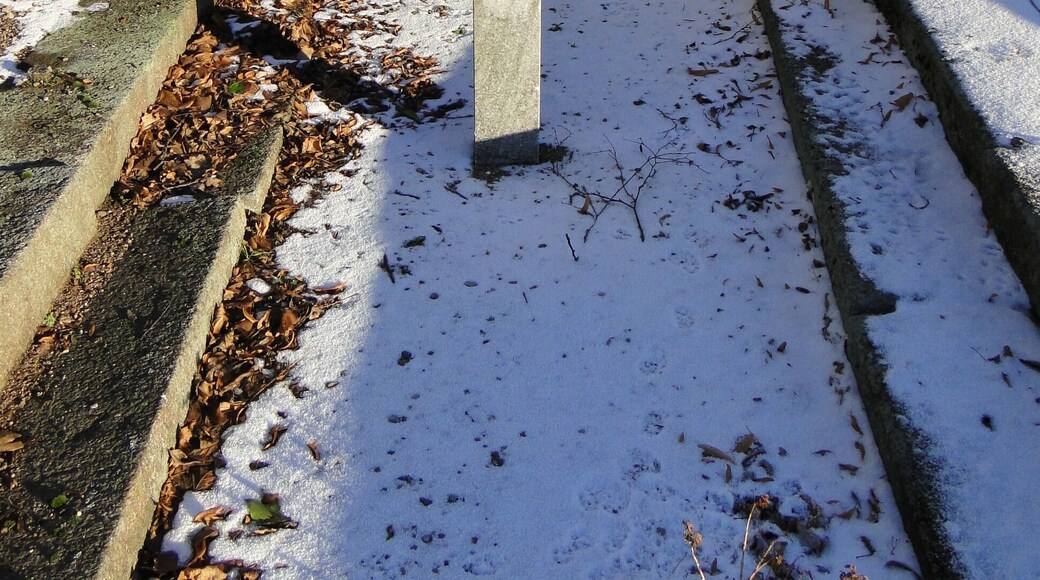 Grave cross in Lübbersdorf, district Mecklenburg-Strelitz, Mecklenburg-Vorpommern, Germany