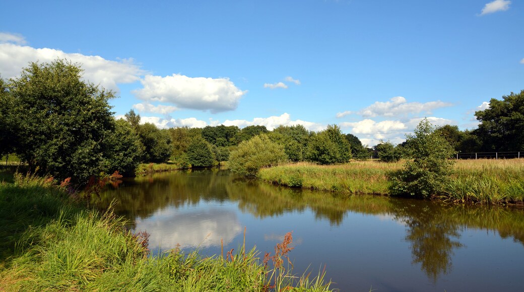 Ein Teich ohne Namen an der Stör in Störkathen.
