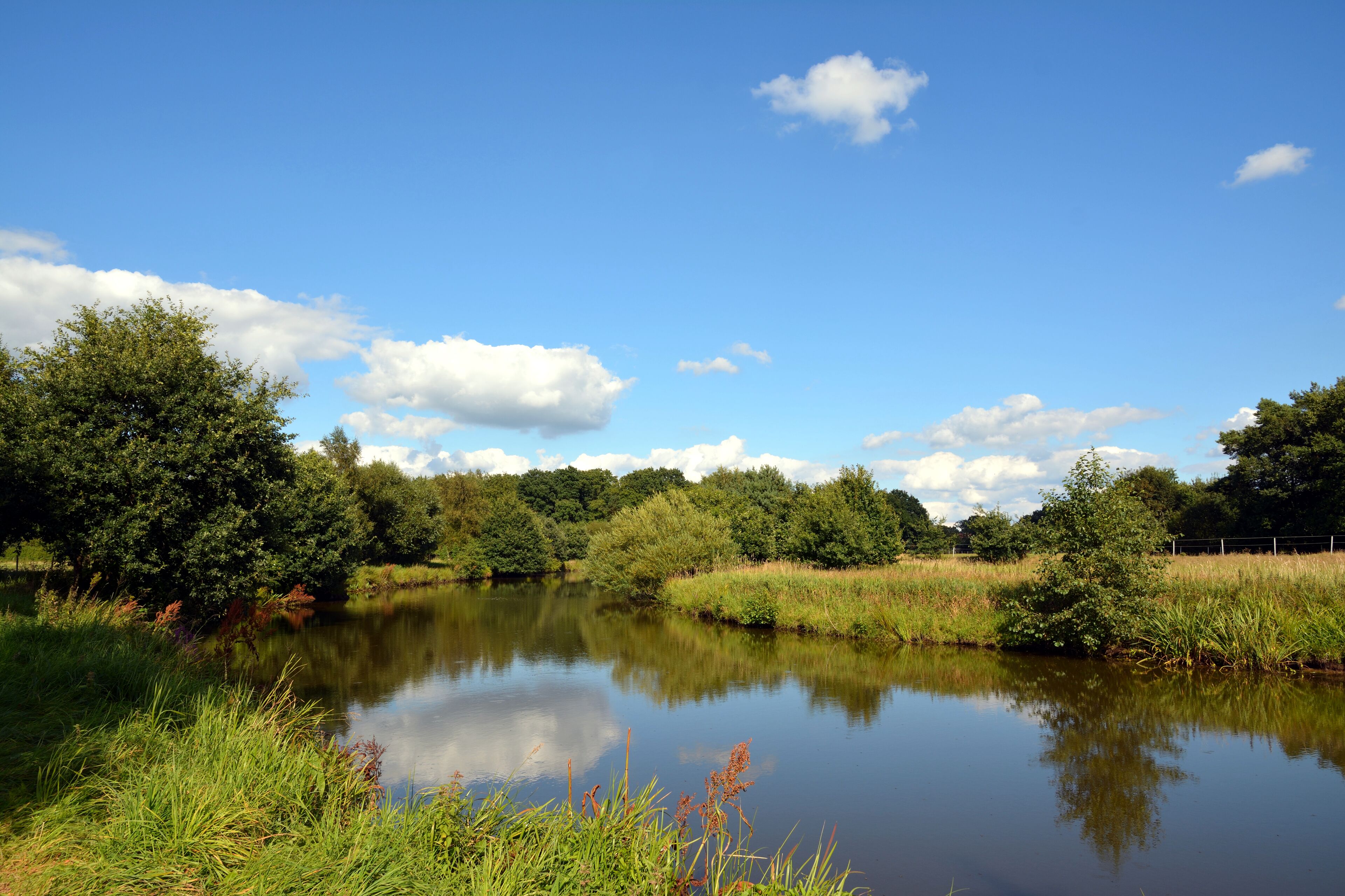 A calm lake surrounded by lush greenery and trees under a clear blue sky.