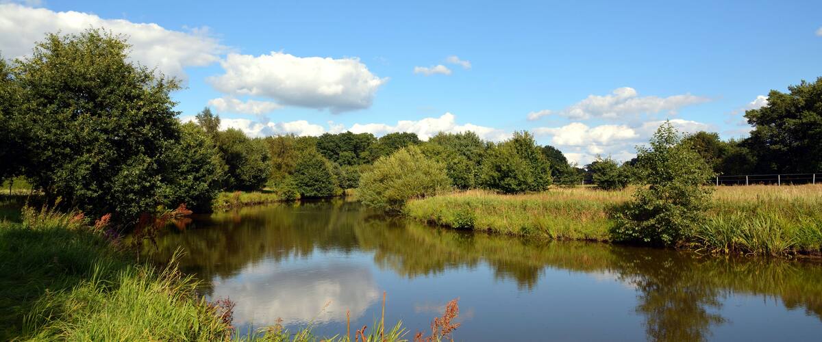 A calm lake surrounded by lush greenery and trees under a clear blue sky.