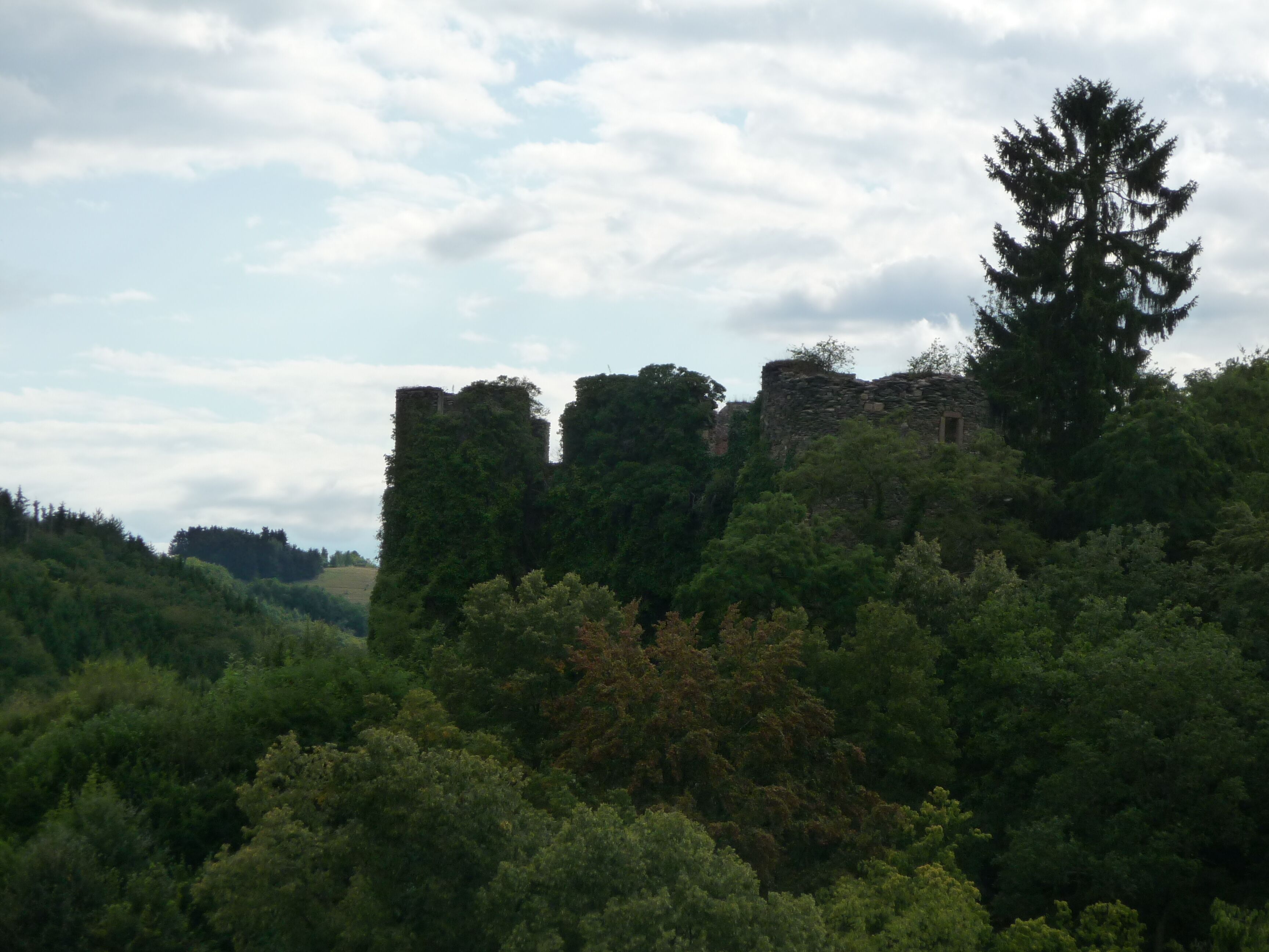 A forested landscape with ancient stone ruins partially covered by trees.