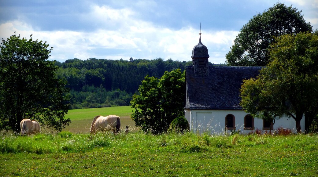 Die Wernerkapelle bei Womrath