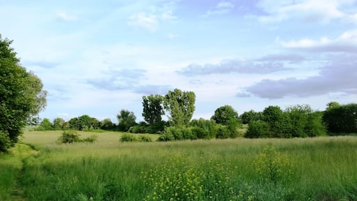 Naturschutzgebiet Im Flößrich/Gänsklauer im Landkreis Mainz-Bingen (Bubenheim, Schwabenheim): Gehölze und Grünland südlich der K16.