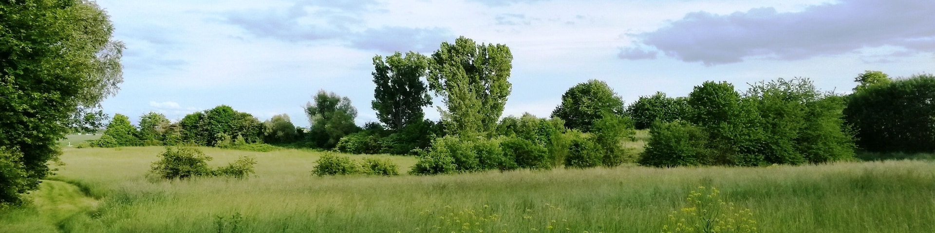 Naturschutzgebiet Im Flößrich/Gänsklauer im Landkreis Mainz-Bingen (Bubenheim, Schwabenheim): Gehölze und Grünland südlich der K16.