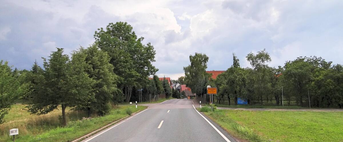A road with trees on both sides, leading to a building with a red roof.