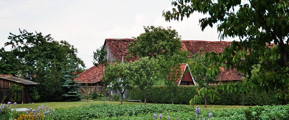 A garden with various plants and a building with a red roof.