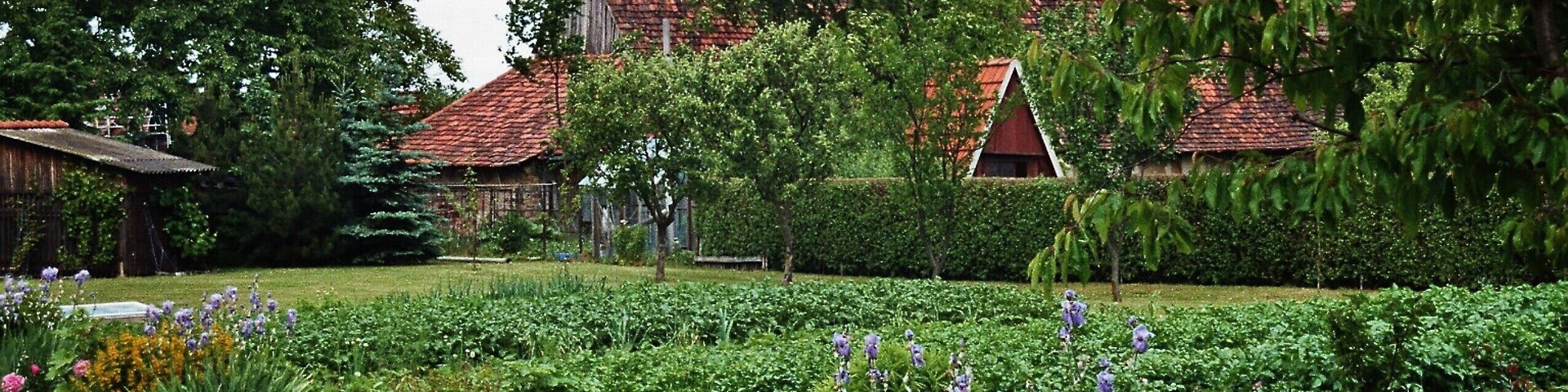A garden with various plants and a building with a red roof.