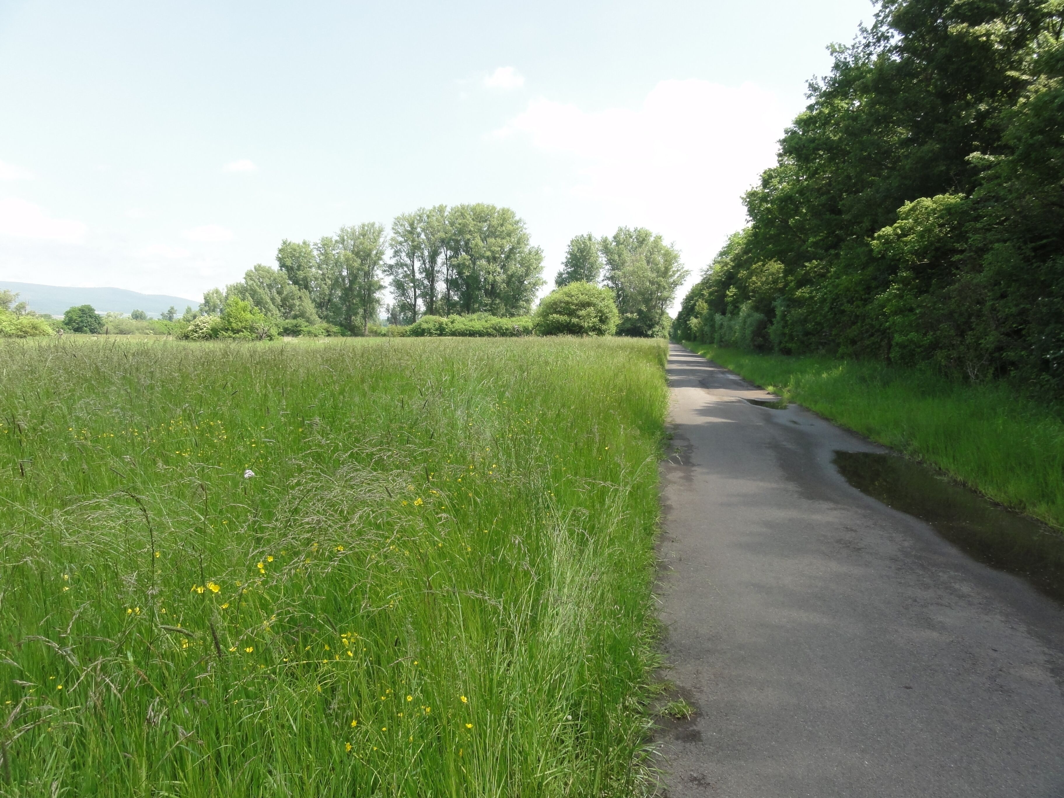 (NSG:RP-339016)_Fulder Aue–Ilmen Aue