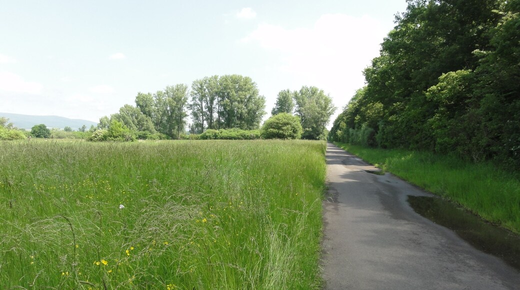 (NSG:RP-339016)_Fulder Aue–Ilmen Aue