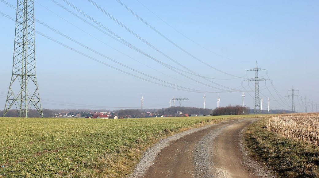 Prawoćicy; stary puć do Łusča.