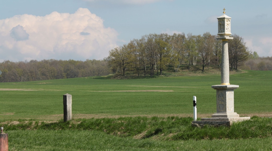 Wayside shrine north of Crostwitz/Chrósćicy, Bautzen district, Saxony.