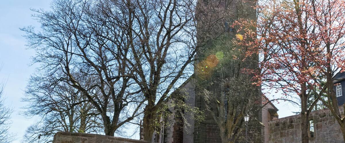 Die Stiftskirche in Wetter (Hessen)