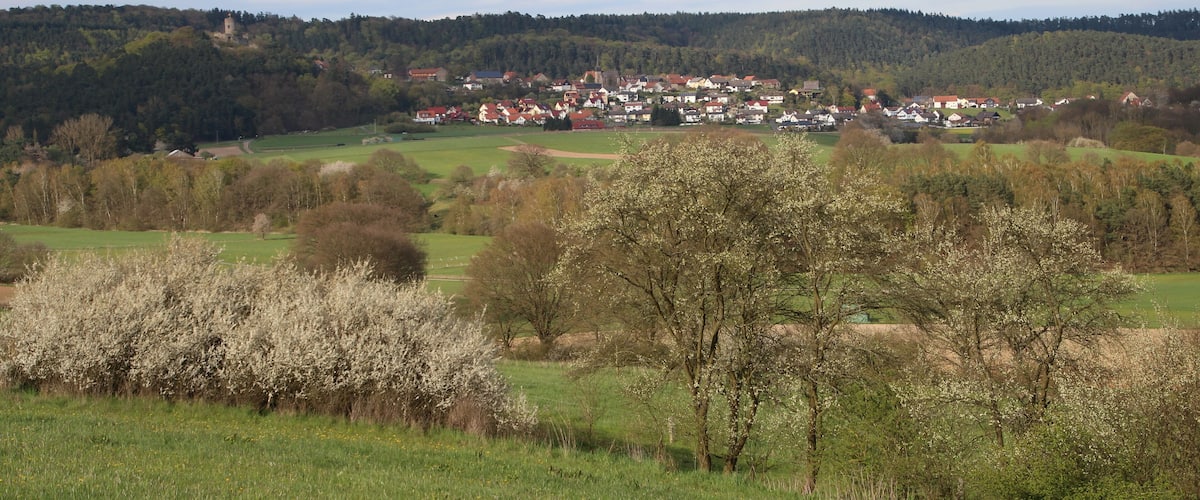 A village nestled in a valley with a prominent church tower, surrounded by rolling hills and blooming trees.