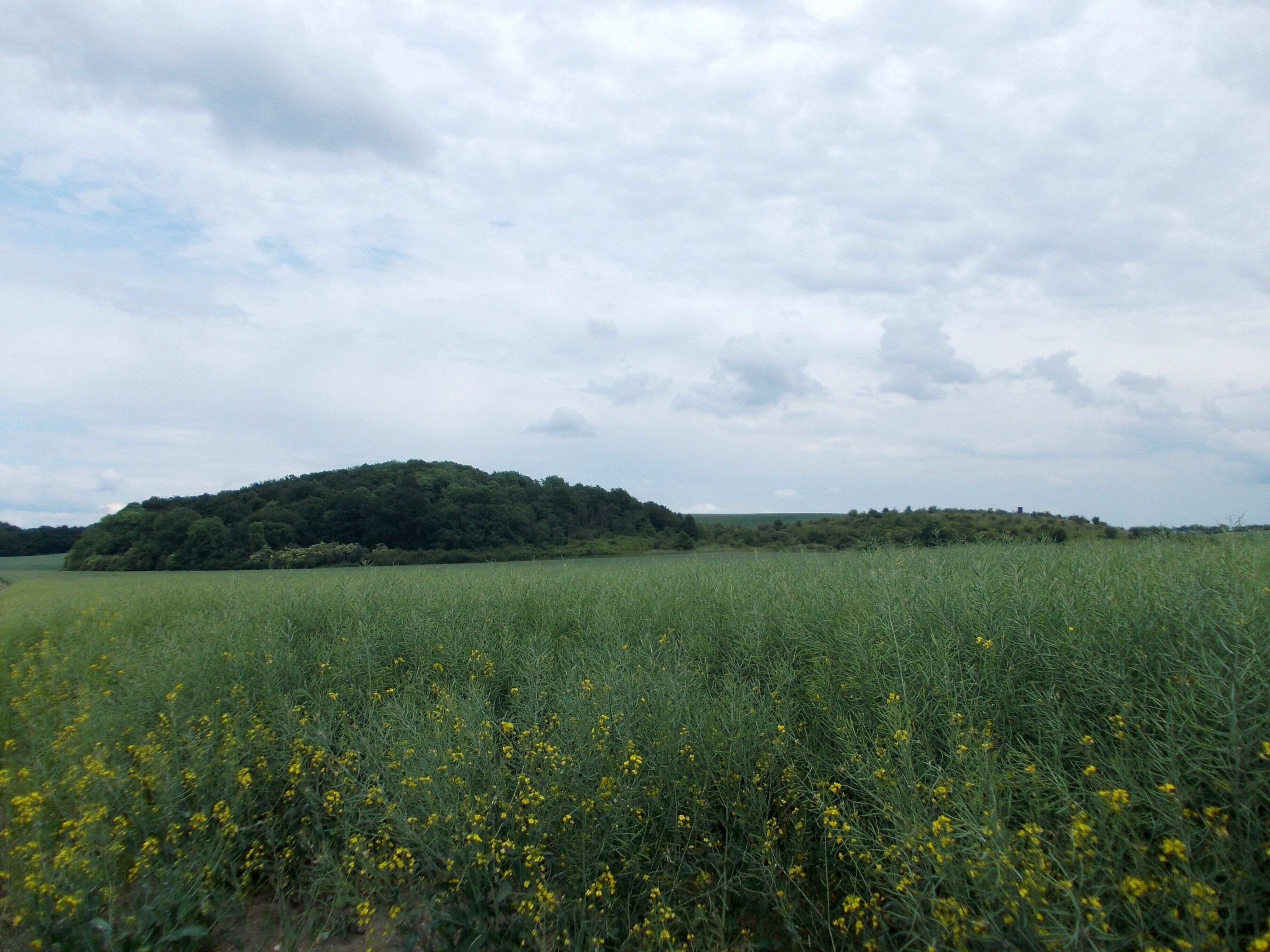 This is a picture of the protected area listed at WDPA under the ID