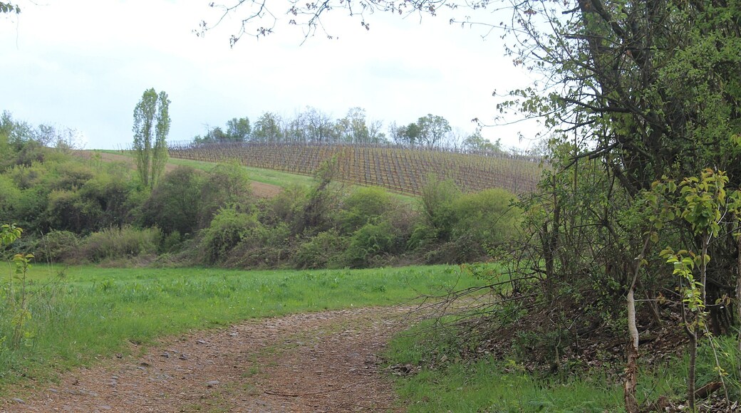 Flonheim, in the Aulheim valley