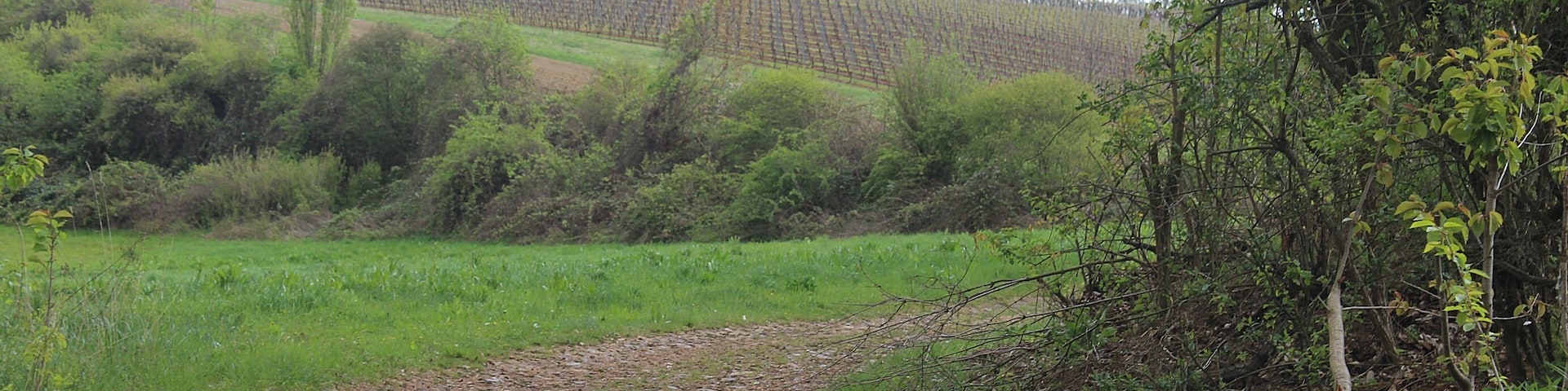 Flonheim, in the Aulheim valley