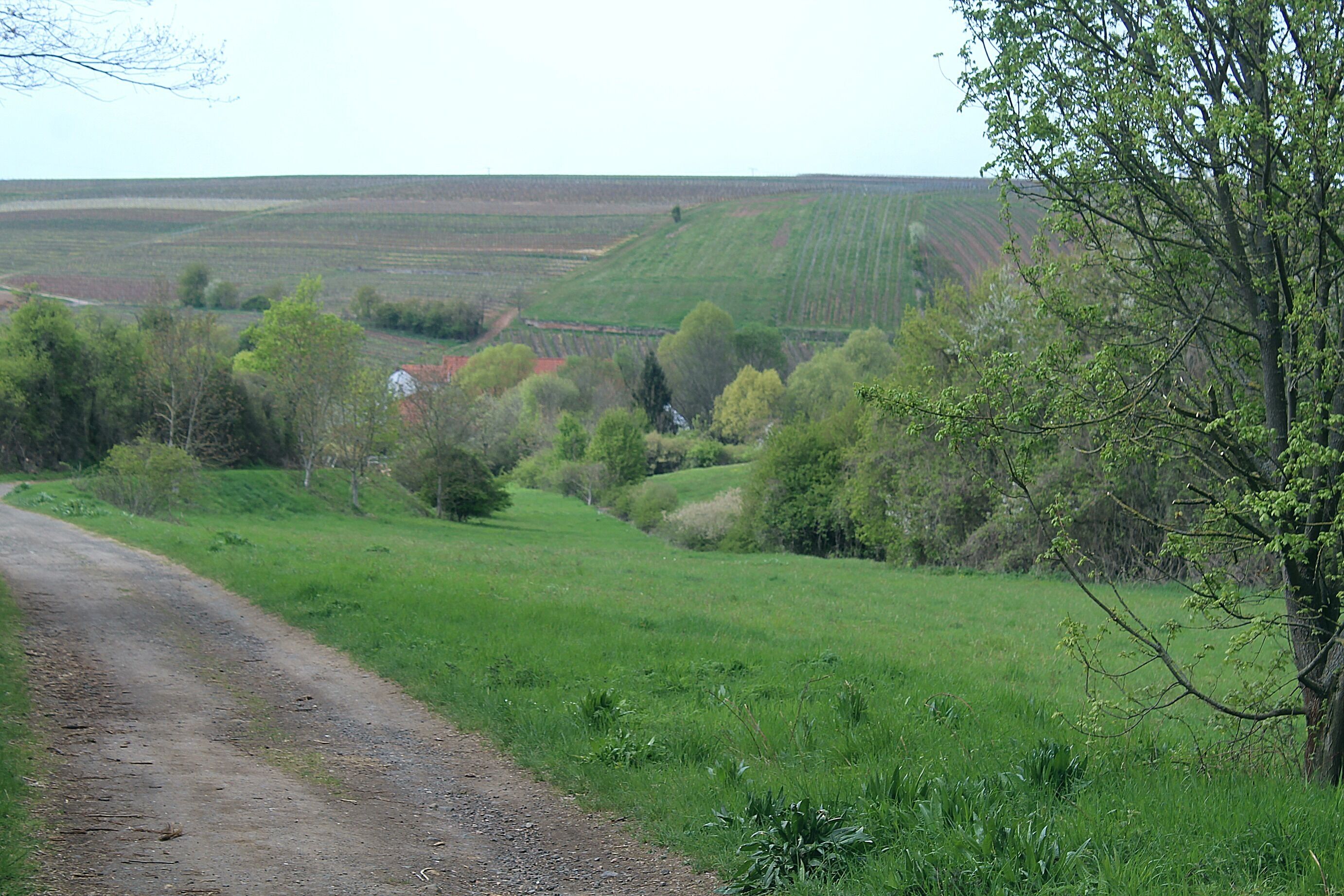 This is a photograph of an architectural monument. It is on the list of cultural monuments of Uffhofen (Flonheim)