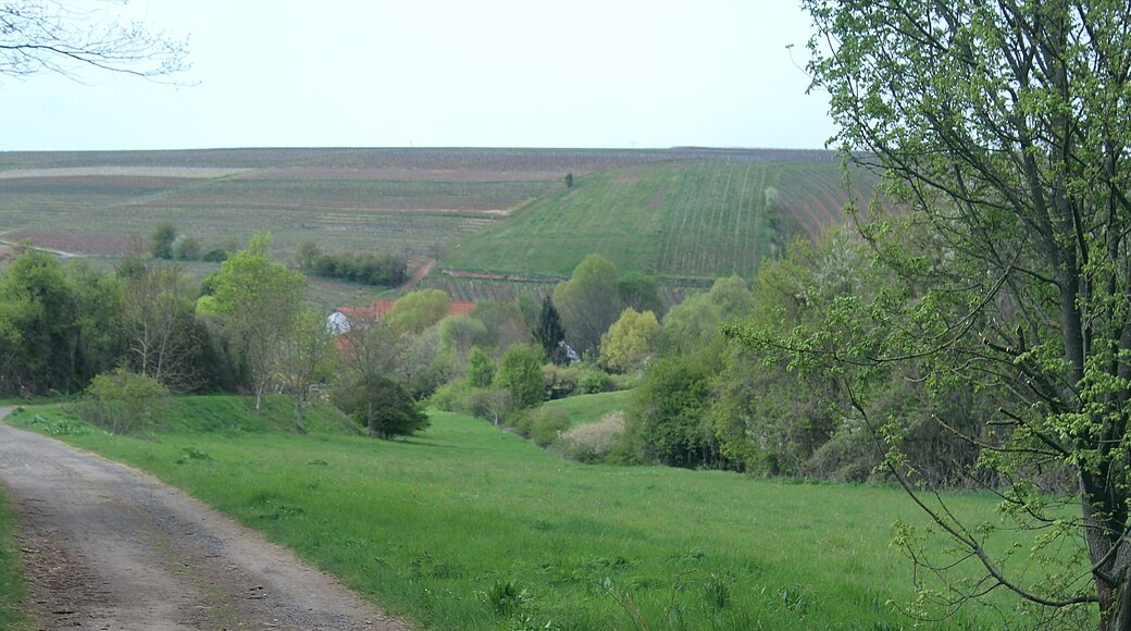 This is a photograph of an architectural monument. It is on the list of cultural monuments of Uffhofen (Flonheim)