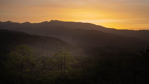 Amanecer en Honduras, los bolsones, luz del nuevo día, montañas de coníferas, pinos, potreros, ganados, pumas, cerros de lobos