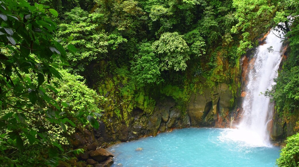 What do tropical rainforests and volcanic minerals create when they combine? Breathtakingly blue waterfalls obviously!
#blue #puravida
