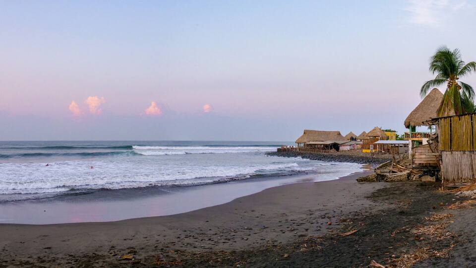 A beach with waves, thatched-roof huts, and a palm tree.