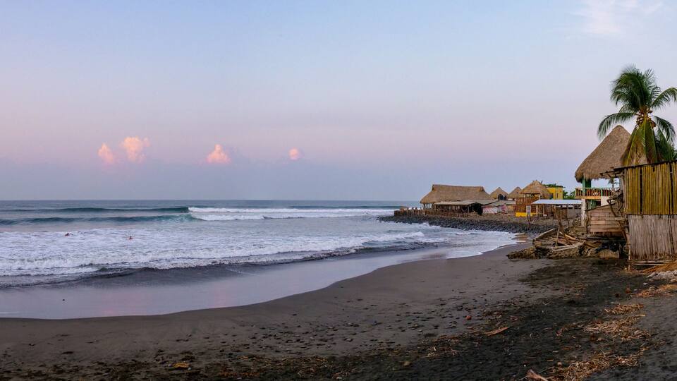 A beach with waves, thatched-roof huts, and a palm tree.