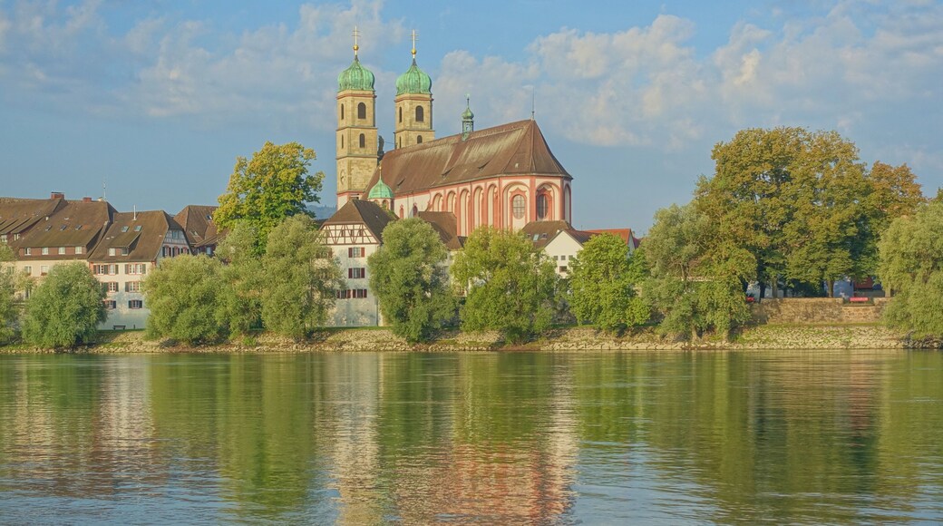 St. Fridolin-Münster