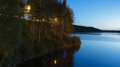 Hidden amongst The trees lies The birdsnest where you can live like an bird.