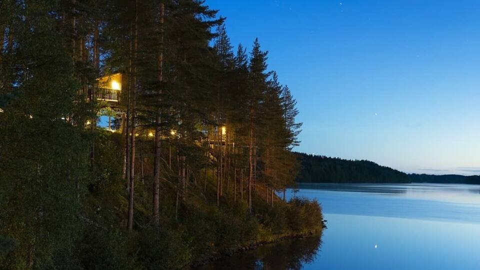 A cabin surrounded by tall trees and a calm lake at dusk.