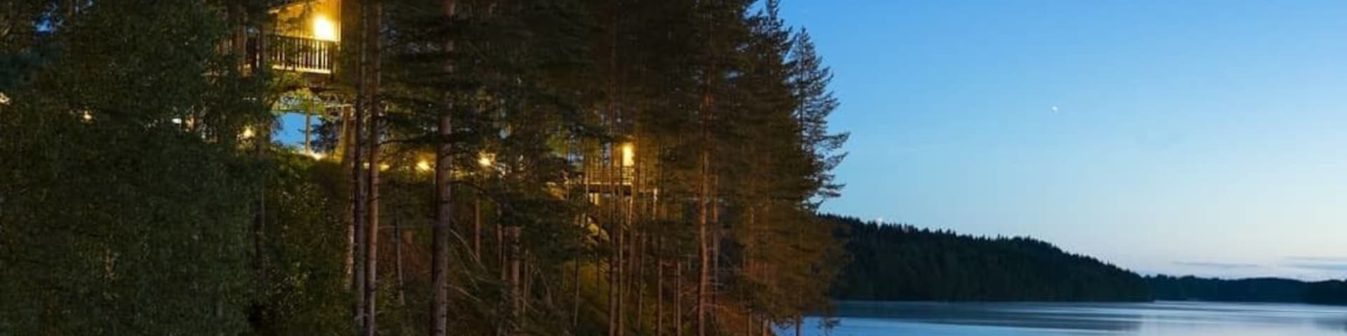 Hidden amongst The trees lies The birdsnest where you can live like an bird.