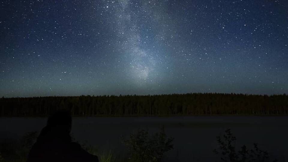 A person sitting by a campfire under a starry night sky.