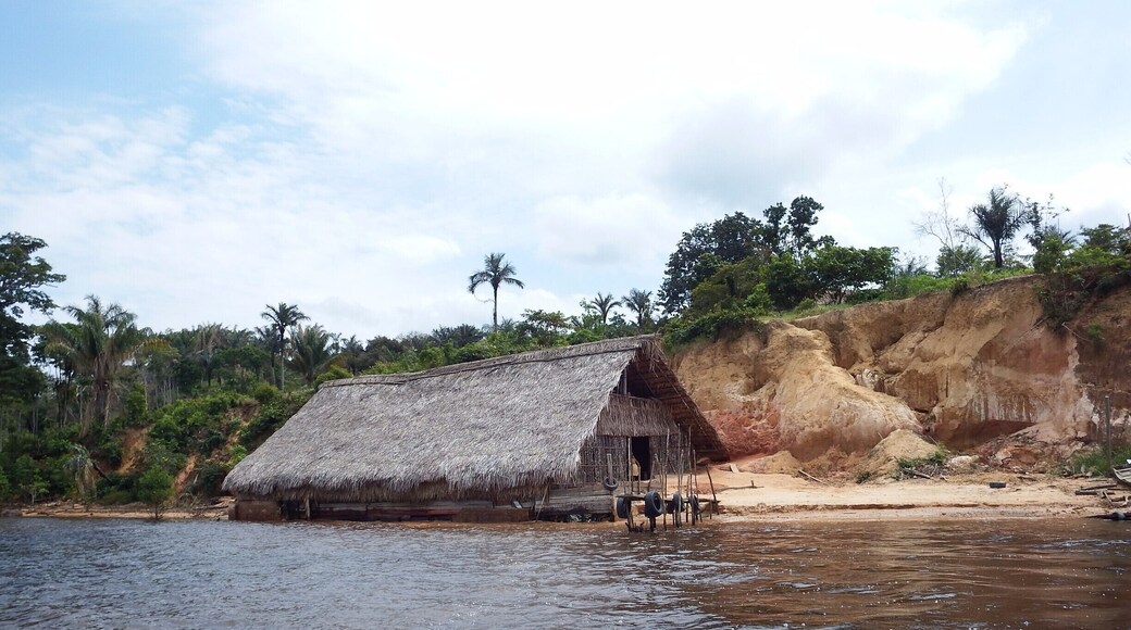 Vista de uma casa (oca) de índios à beira de um rio amazônico.
View of a house (oca) of Indians on the edge of an Amazonian river.
#Aquatrove