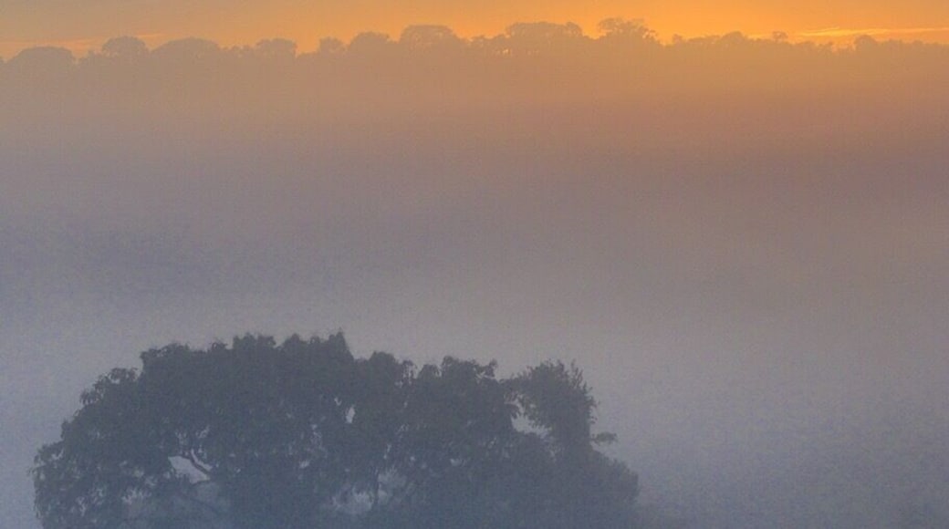 Sunrise in the Amazon