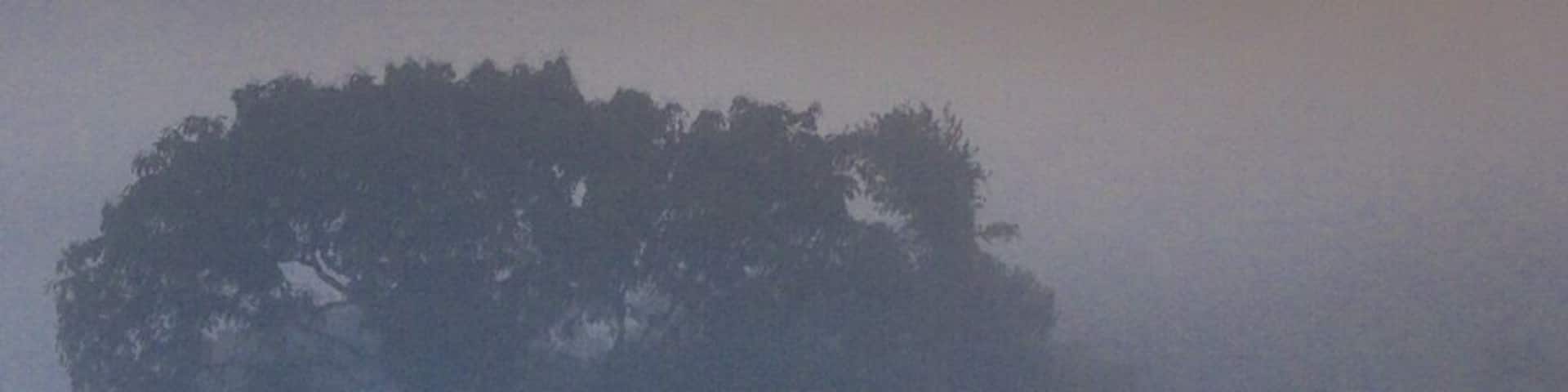 Sunrise in the Amazon