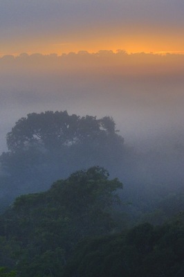 Sunrise in the Amazon