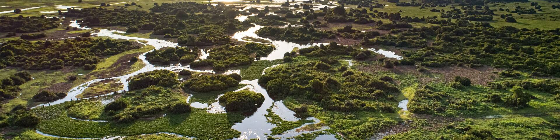 Panoramic aerial view at sunset of typical Pantanal Wetlands landscape with lagoons, forests, meadows, river, fields, Mato Grosso, Brazil