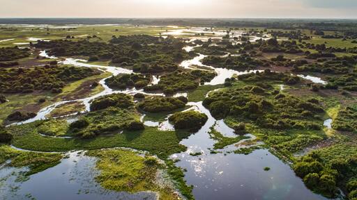 ساو جوزيه دو بوفو