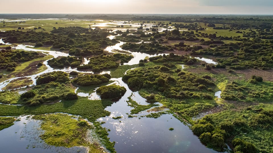 A river winding through a lush landscape with dense greenery and scattered trees.