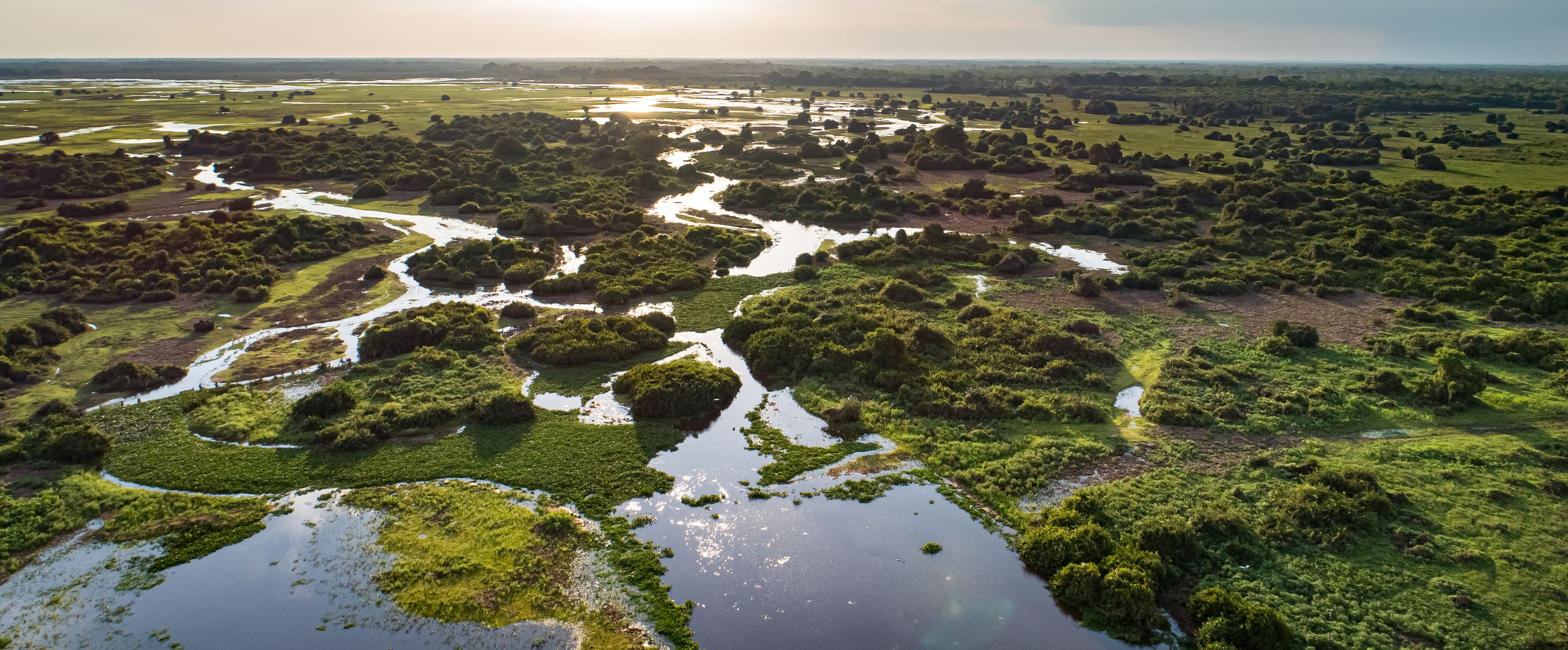 A river winding through a lush landscape with dense greenery and scattered trees.