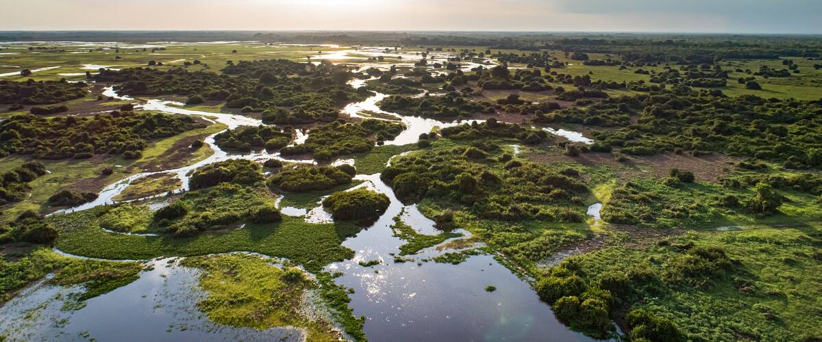 A river winding through a lush landscape with dense greenery and scattered trees.
