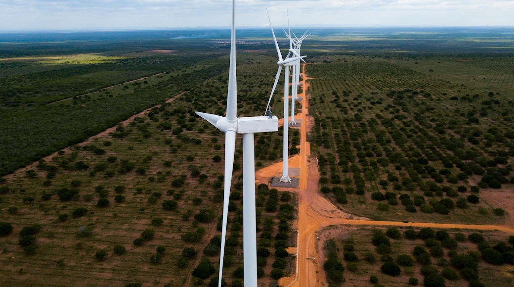 vista panorâmica de parque eólico, com turbinas eólicas para geração de eletricidade