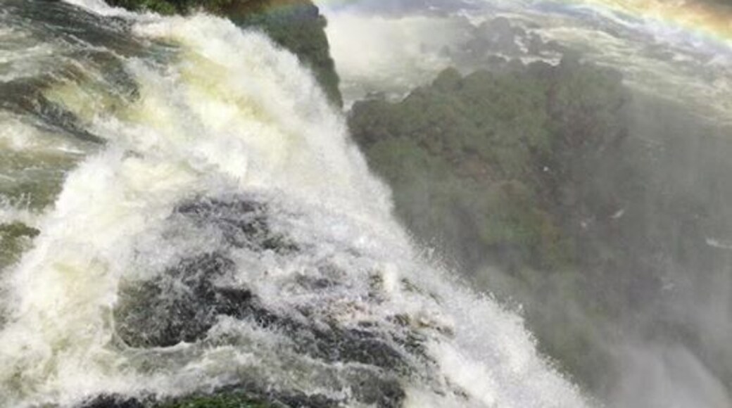 A ginormous quantity of water smashing around and showing you the power of nature. thousands of purple and turquoise dragonflies and butterflies bopping about
#lifeatexpedia