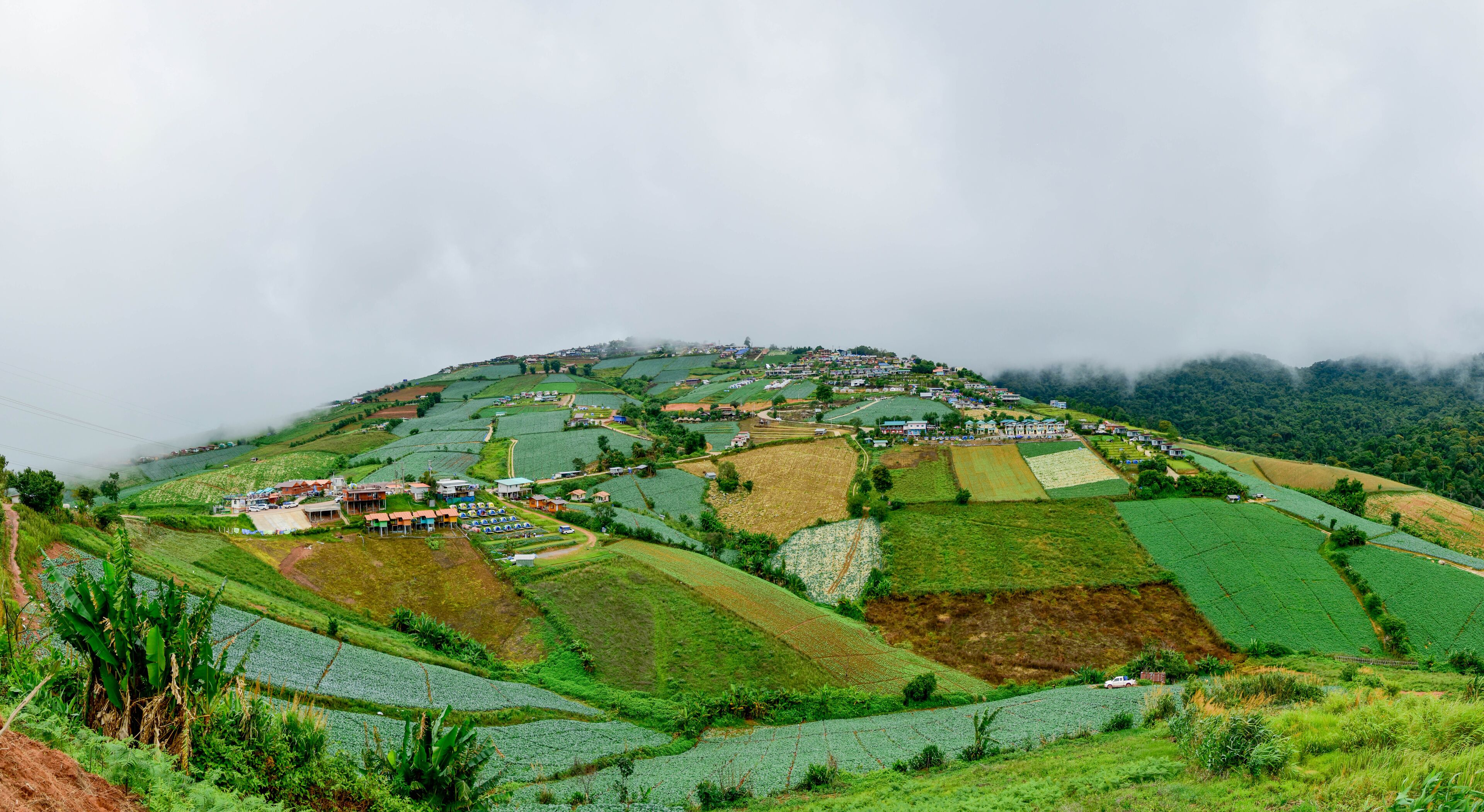 Terraced rice fields, a village with houses, and a mountain shrouded in mist.