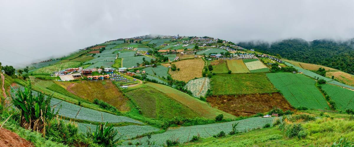 Terraced rice fields, a village with houses, and a mountain shrouded in mist.